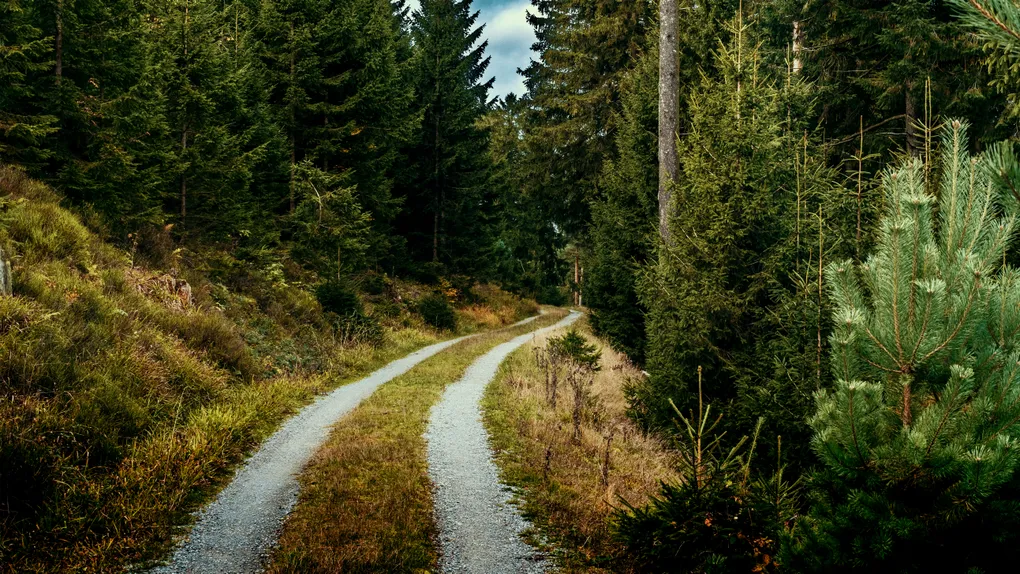 Hero image for Getting Started with Waypoint AI